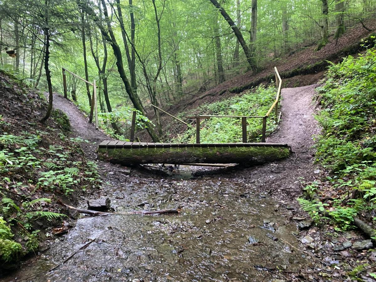 Neu!!! Netflix!!! Schoene Ferienwohnungen Im Gruenen Mit Top Ausstattung - Nur 15 Min Bis Koblenz Eitelborn Dış mekan fotoğraf